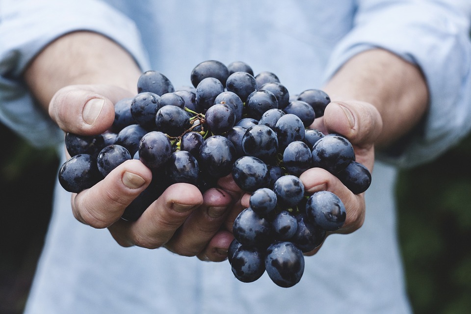 grapes-fruits