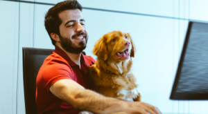 man with dog using computer